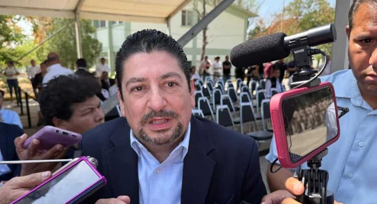 Ingresos, Vigilancia, Pago, Fiscales