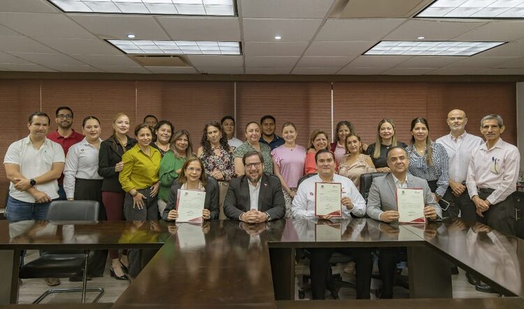Educación, Estudios, SNTE