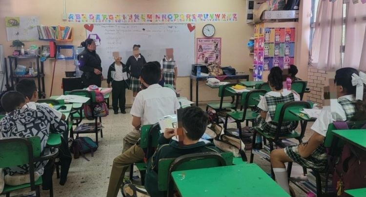 Personal, Planteles, Estatal