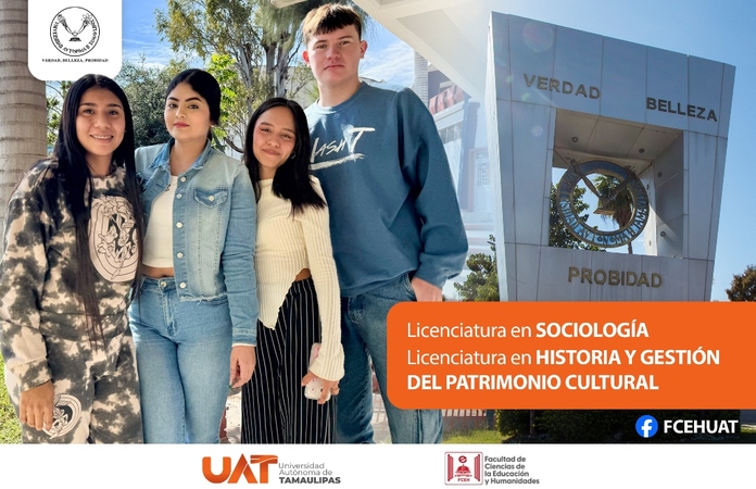 Licenciatura, Docente, Programas
