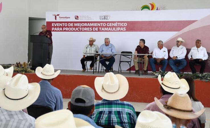 Desarrollo, Programa, Respaldo, Sanitario